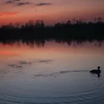 Twoje Lejlighed