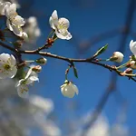 דירה Twoje Mikołajki