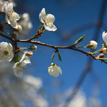 Apartamento Twoje Mikołajki